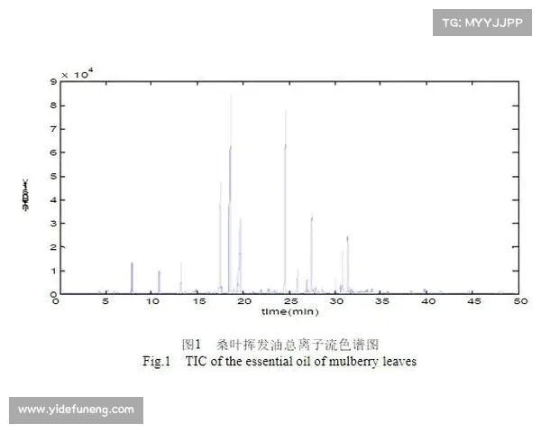 高尔夫评分体系解析与提升技巧探讨及其在比赛中的应用分析