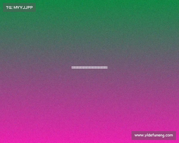 高效整理装备的技巧与方法，提升你的生活与工作效率